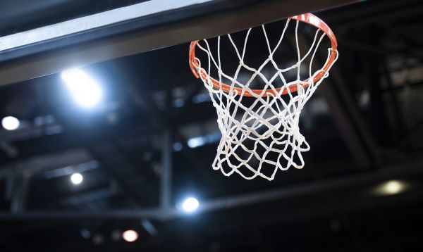 Cost of Basketball Net Installation in Rowlett