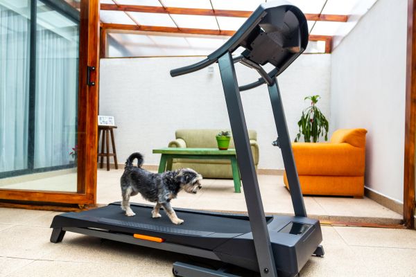 Cost of Treadmill Installation in Rowlett