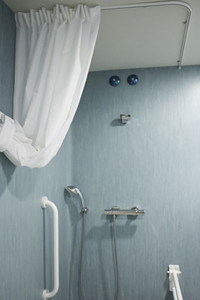 Cost of Shower Rail Installation in Rowlett