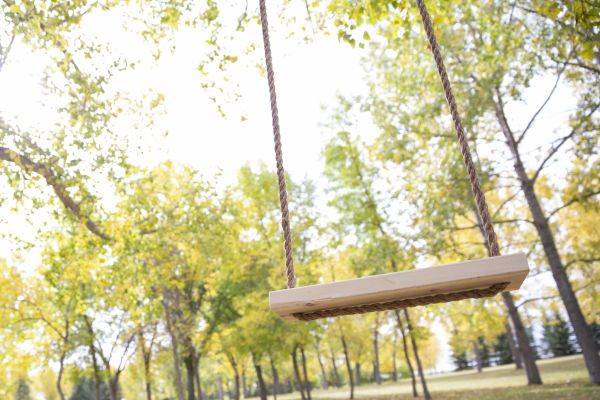 Cost of Tree Swing Installation in Rowlett