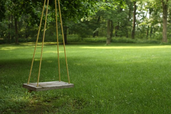 Cost of Rope Swing Installation in Rowlett