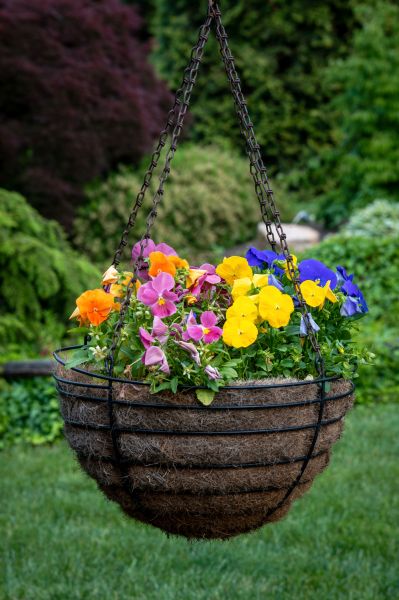 Cost of Hanging Basket Installation in Rowlett