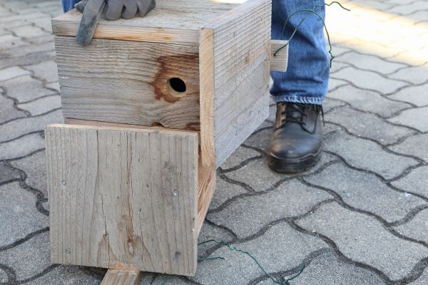 Cost of Birdhouse Mounting in Rowlett